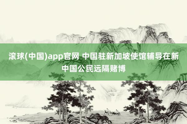 滚球(中国)app官网 中国驻新加坡使馆辅导在新中国公民远隔赌博