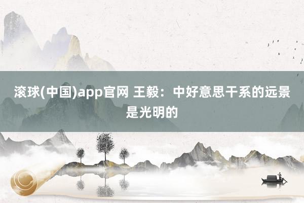 滚球(中国)app官网 王毅：中好意思干系的远景是光明的