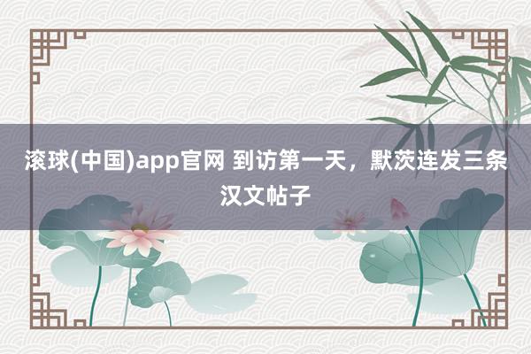 滚球(中国)app官网 到访第一天,默茨连发三条汉文帖子
