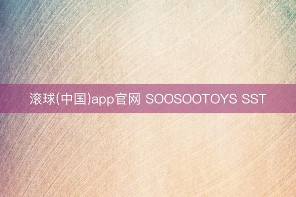 滚球(中国)app官网 SOOSOOTOYS SST