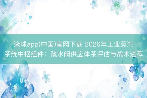 滚球app(中国)官网下载 2026年工业蒸汽系统中枢组件：疏水阀供应体系评估与战术遴荐
