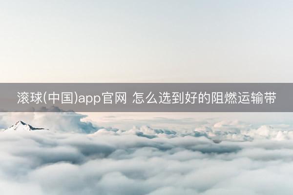滚球(中国)app官网 怎么选到好的阻燃运输带