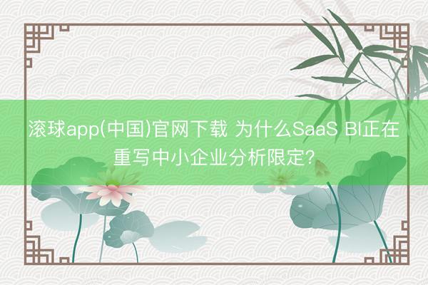 滚球app(中国)官网下载 为什么SaaS BI正在重写中小企业分析限定？