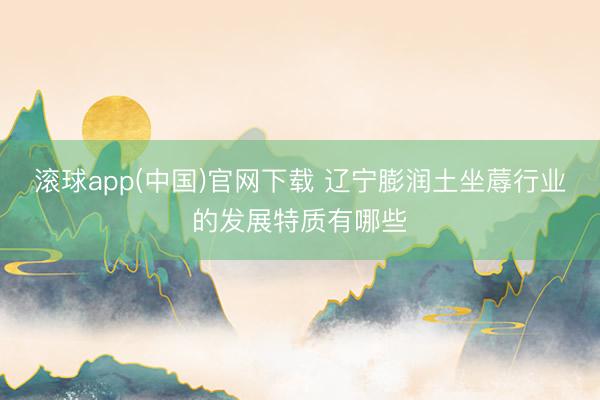 滚球app(中国)官网下载 辽宁膨润土坐蓐行业的发展特质有哪些