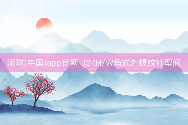 滚球(中国)app官网 J24H/W角式外螺纹针型阀