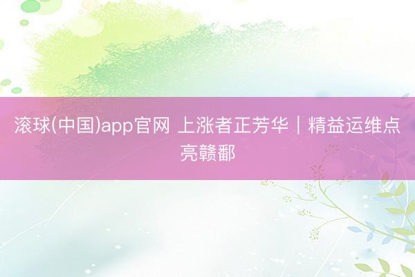 滚球(中国)app官网 上涨者正芳华｜精益运维点亮赣鄱