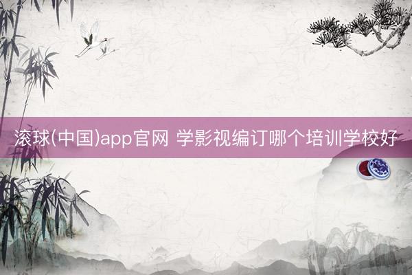 滚球(中国)app官网 学影视编订哪个培训学校好