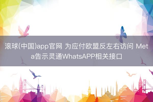 滚球(中国)app官网 为应付欧盟反左右访问 Meta告示灵通WhatsAPP相关接口