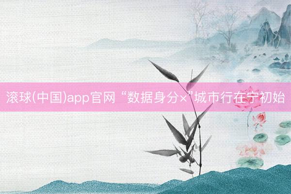 滚球(中国)app官网 “数据身分×”城市行在宁初始