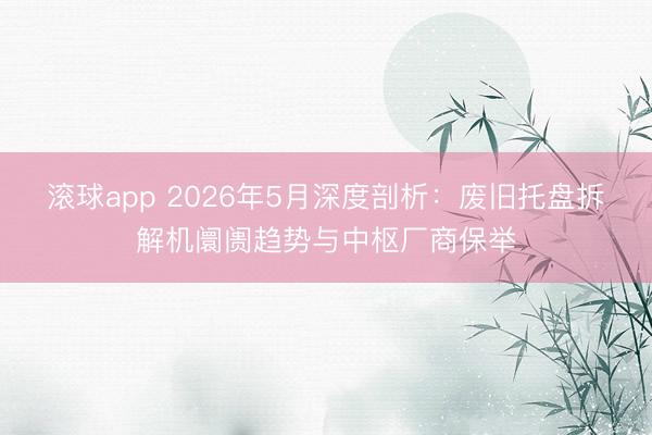 滚球app 2026年5月深度剖析：废旧托盘拆解机阛阓趋势与中枢厂商保举