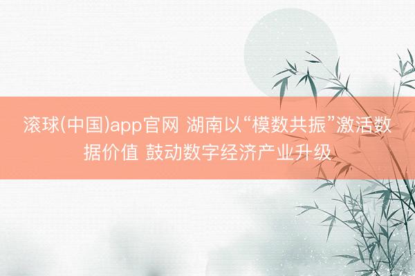 滚球(中国)app官网 湖南以“模数共振”激活数据价值 鼓动数字经济产业升级