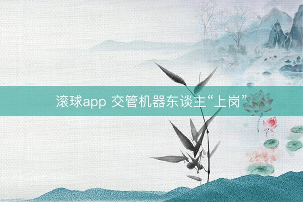 滚球app 交管机器东谈主“上岗”