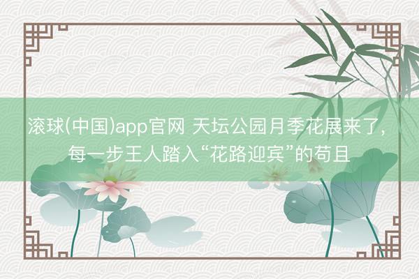 滚球(中国)app官网 天坛公园月季花展来了， 每一步王人踏入“花路迎宾”的苟且