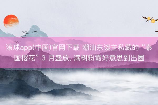 滚球app(中国)官网下载 潮汕东谈主私藏的 “泰国樱花” 3 月盛放， 满树粉霞好意思到出圈