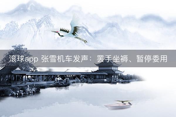 滚球app 张雪机车发声：罢手坐褥、暂停委用