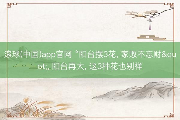 滚球(中国)app官网 “阳台摆3花， 家败不忘财"， 阳台再大， 这3种花也别样