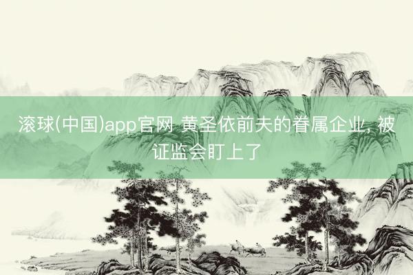 滚球(中国)app官网 黄圣依前夫的眷属企业， 被证监会盯上了