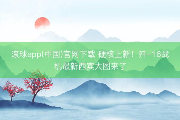 滚球app(中国)官网下载 硬核上新！歼-16战机最新西宾大图来了