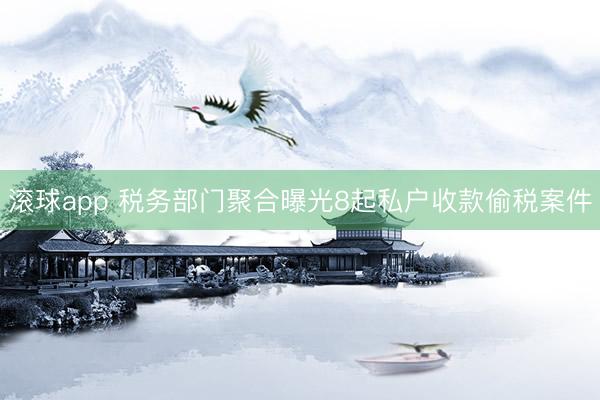 滚球app 税务部门聚合曝光8起私户收款偷税案件