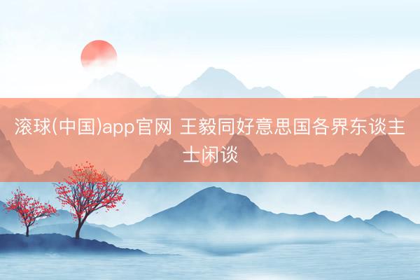 滚球(中国)app官网 王毅同好意思国各界东谈主士闲谈