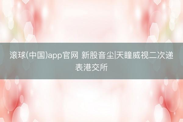 滚球(中国)app官网 新股音尘|天瞳威视二次递表港交所