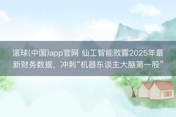 滚球(中国)app官网 仙工智能败露2025年最新财务数据，冲刺“机器东谈主大脑第一股”