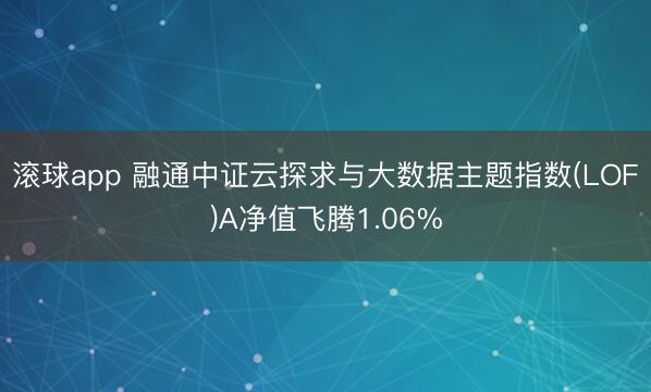 滚球app 融通中证云探求与大数据主题指数(LOF)A净值飞腾1.06%
