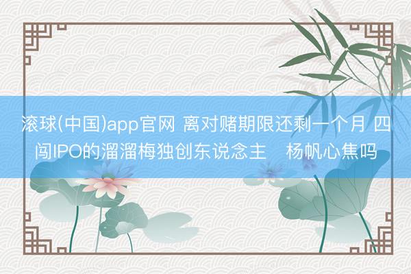 滚球(中国)app官网 离对赌期限还剩一个月 四闯IPO的溜溜梅独创东说念主‌杨帆心焦吗