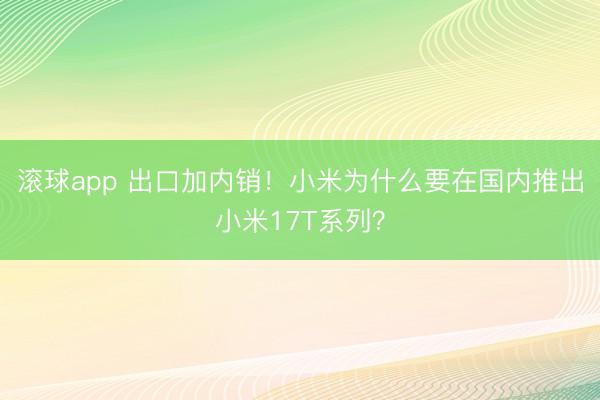 滚球app 出口加内销！小米为什么要在国内推出小米17T系列？