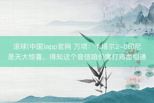 滚球(中国)app官网 万项：卡塔尔2-0印尼是天大惊喜，得知这个音信咱们像打鸡血相通