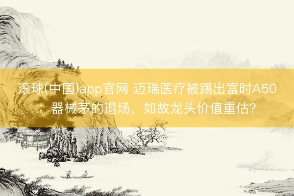 滚球(中国)app官网 迈瑞医疗被踢出富时A50：器械茅的退场，如故龙头价值重估？