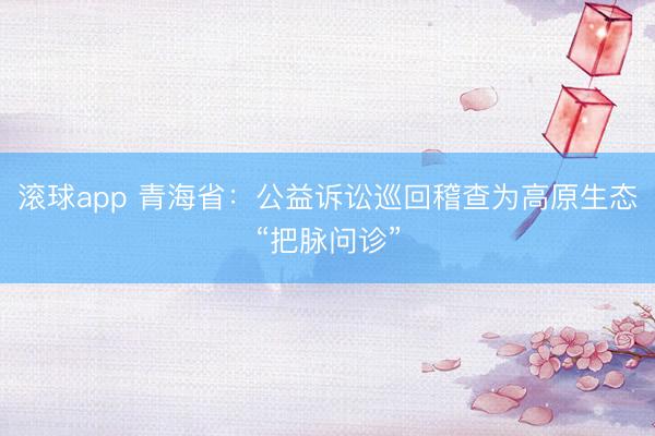 滚球app 青海省：公益诉讼巡回稽查为高原生态“把脉问诊”