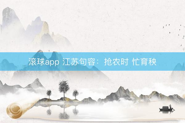 滚球app 江苏句容：抢农时 忙育秧
