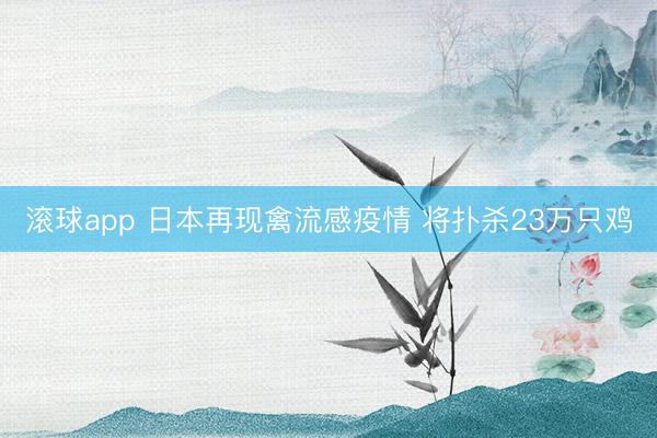 滚球app 日本再现禽流感疫情 将扑杀23万只鸡